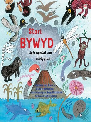 cover image of Stori Bywyd